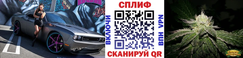 ГАШ Красково