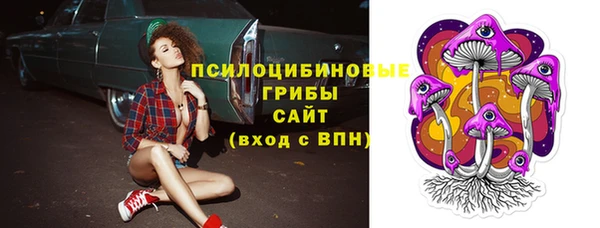 гидропоника Балабаново