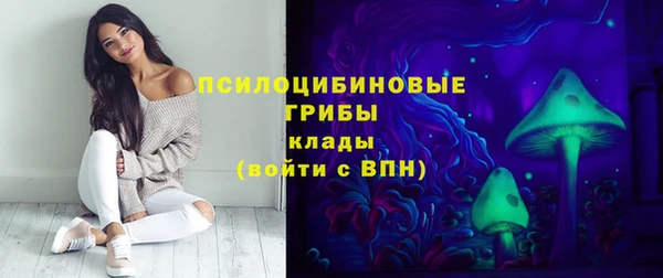 стафф Баксан