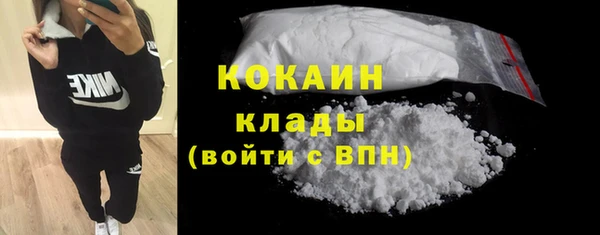 шишки Балахна