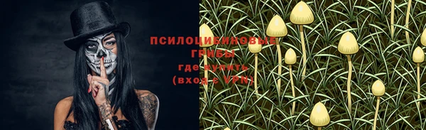 стафф Баксан