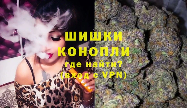 шишки Балахна