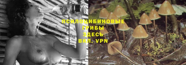 гидропоника Балабаново