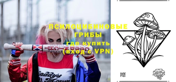 шишки Балахна
