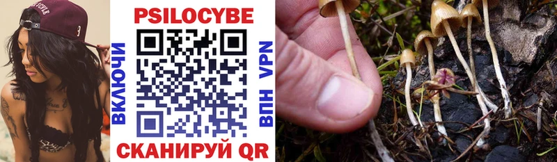 купить  цена  Красково  Галлюциногенные грибы прущие грибы 